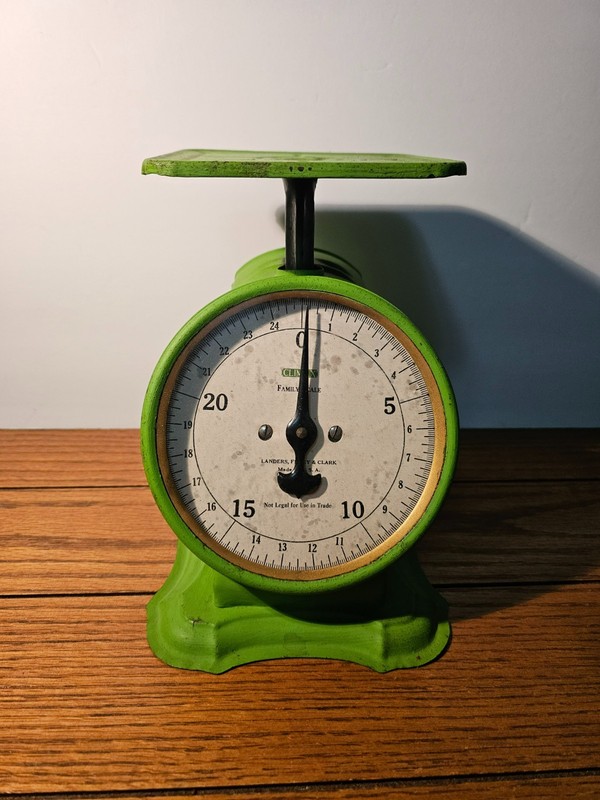 Vintage Universal Scale by Landers Frary & Clark 25 lb Green Rustic Farmhouse 