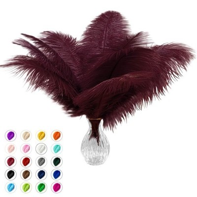 Natural Burgundy Ostrich Feathers 20 Pcs 10-12 Inch Bulk DIY Clothing Gatsby