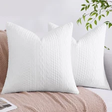 Decorative Christmas Throw Pillow Covers 22x22 Set of 2 for Sofa Bed with Rai...