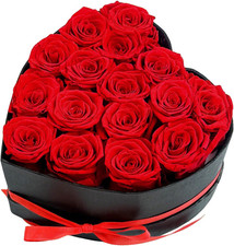 Preserved Roses Heart Shape Box Forever Flowers Red 16 Roses 