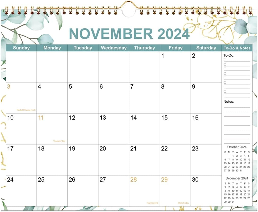 Wall Calendar - Calendar 2024-2025 from November 2024 - June 2026, 20 Months