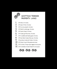 Scottish Terrier - CUSTOM MATTED - Dog Art Print - P/L