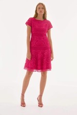 Joseph Ribkoff Geranium Embroidered Mesh A-Line Dress 251768X