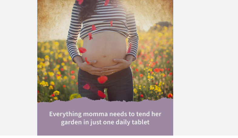 Garden Of Life Mykind Organics Prenatal Multi 90ct