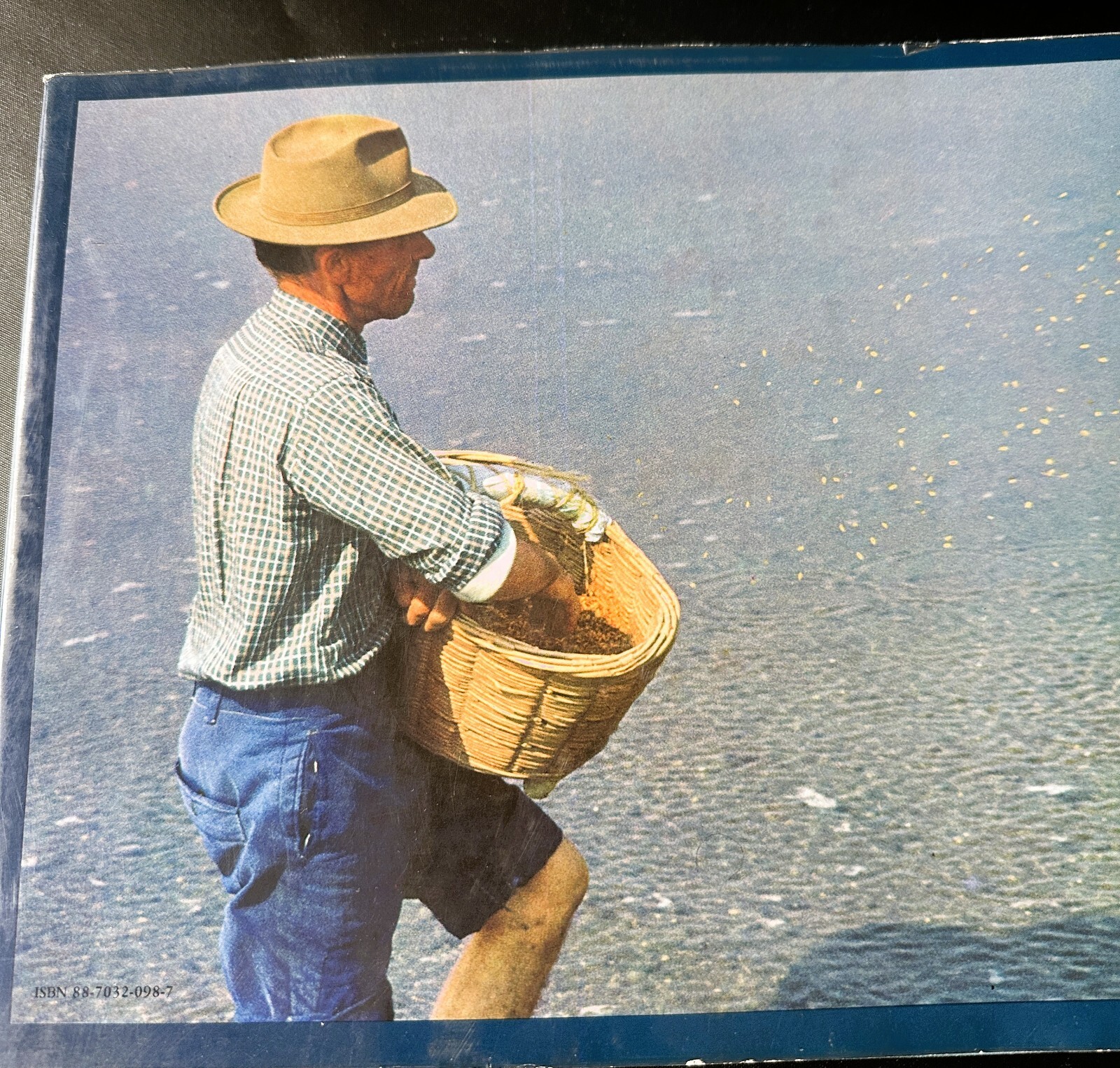 Picture 8 of 8