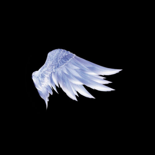 2x White Wings Logo Car Door Welcome Laser Projector Shadow Light for Universal - Picture 3 of 9