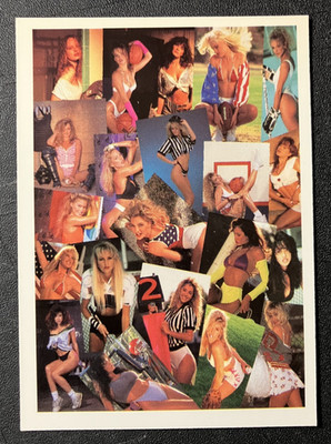 Collage Quiz Card #119 1992 BenchWarmer Sexy Glamour Pin-Up Trading Card - CLEAN