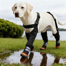 Waterproof Dog Boots with Suspenders   Anti-Slip Paw Protectors for Outdoor