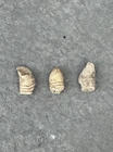 3 Civil War Minie Balls – Fired Bullets Dug Wilderness VA Battlefield 1864 Relic