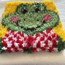Finish Latch Hook Frog Pillow 11 X11
