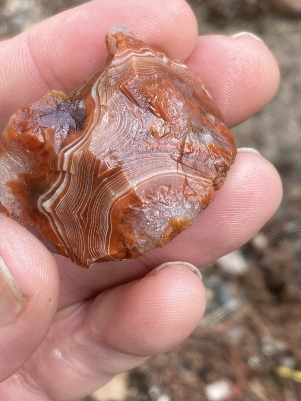 Lake Superior Agate 1.40oz