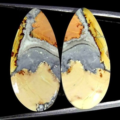 23,10 Ct Natürlicher Maligano Jasper Paar Cabochon Lose Edelstein