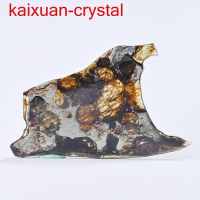 Sericho pallasite meteorite etched full slice Weight 7.65Ct 32.3mm USA DG822