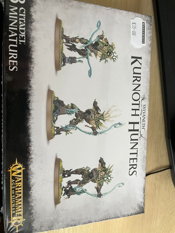 Games Workshop Age of Sigmar Sylvaneth Kurnoth Hunter (New and Sealed)