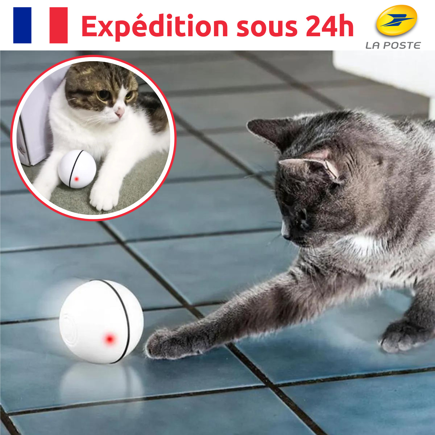 Jouet interactif intelligent pour chat en silicone durable avec capteur antichoc