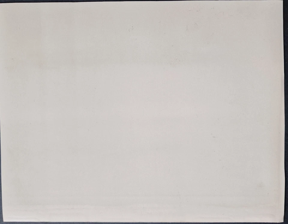 United Arab Emirates 1960's PROOF Umm Al Qiwain Corner Block Dogs 9 Stamps - Image 4 of 4