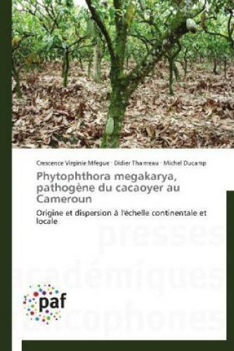 Thumbnail - Phytophthora Megakarya, Pathogène Du Cacaoyer Au Cameroun Origine Et