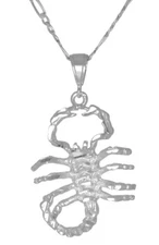 Scorpion, Scorpio Charm Pendant Necklace Sterling Silver .925 Made in USA
