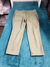 Torrid Jeans Size 10 Women Green Pants Side Stripe Ladies Mid Rise Cropped NWT