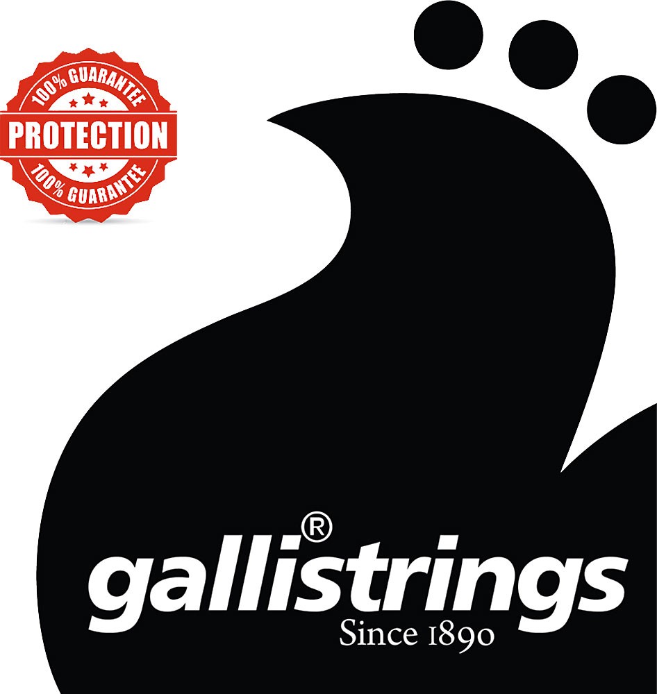 Galli PL009 PLAIN BALL END STRING .009, at Hobgoblin Music