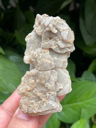 78g Natural GoBi stone wind-carved stone Bonsai stone collection china - Bild 12 von 12