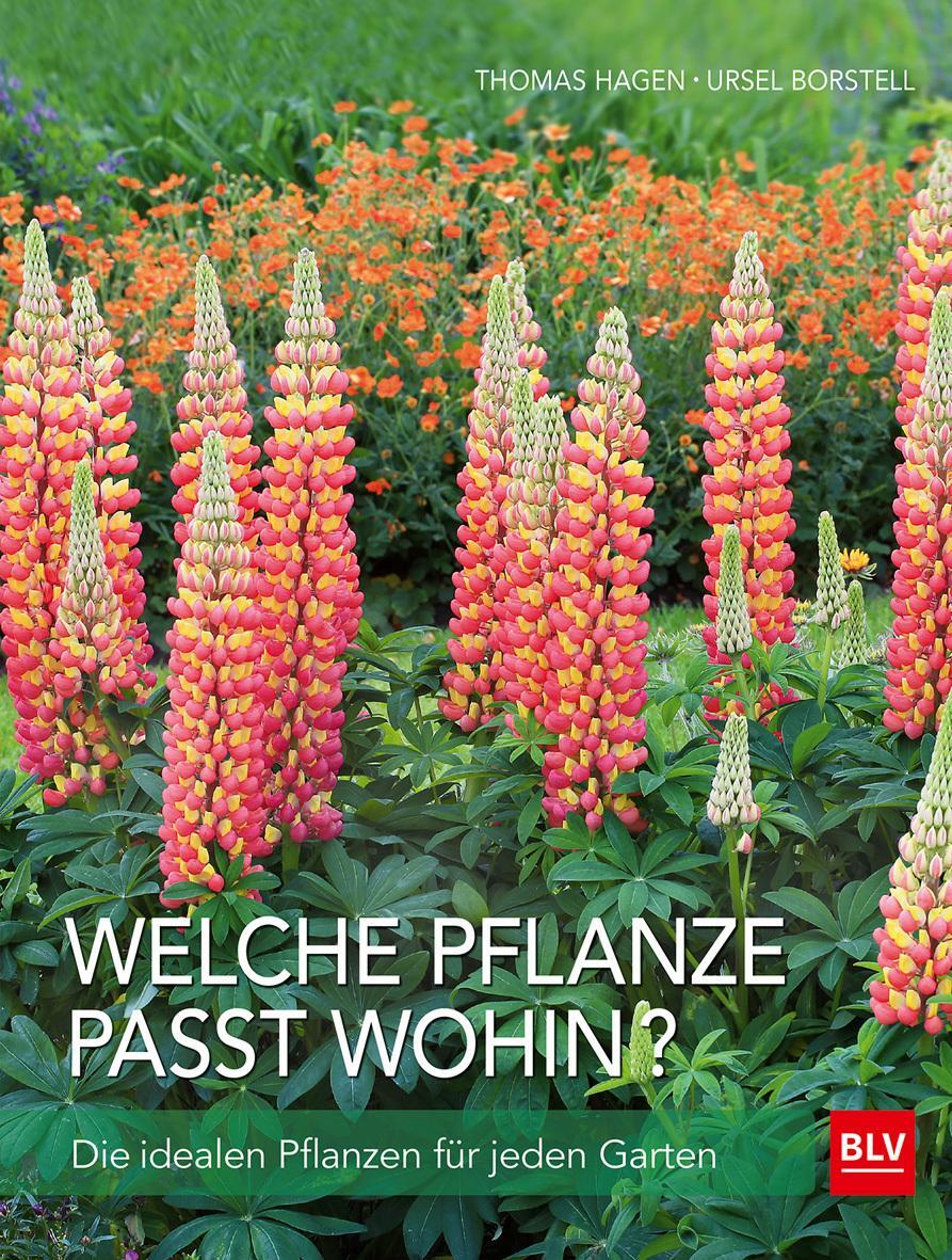 Thumbnail - Welche Pflanze Passt Wohin? Thomas Hagen