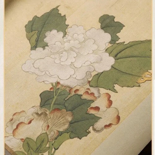 Papel Xuan Colgante Pergamino Batik Medio Maduro Arroz Papel Flor Pájaro Papel Xuan Foto 4 de 4