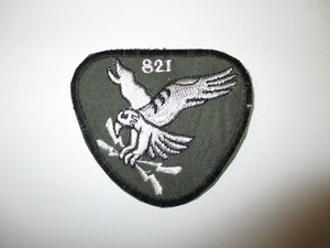 821st security forces squadron