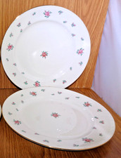 Homer Laughlin Rambler Rose Eggshell Georgian 9 34 Dinner Plates Set Of 2 Homer Laughlin Rambler Rose Eggshell Georgian 9 34 Dinner Plates Set Of 2