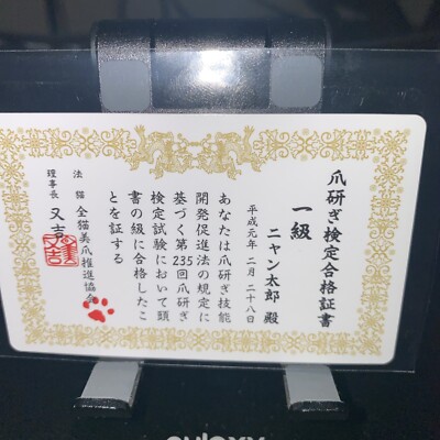 Nyantarou Namennayo TCG ID Card Bosozoku Cats Kawaii Japanese Rare