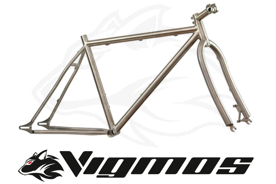 Titan MTB FATBIKE Rahmen Set titanium snow sand bike Mountainbike Rohloff frame