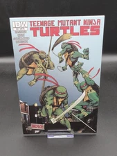 Teenage Mutant Ninja Turtles #33 IDW RE Jetpack Exclusive Rochester