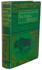 Natural History: with 480 Original illustrations of animals and birds