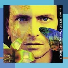 Euphoria [Ep] von Ottmar Liebert | CD | Zustand sehr gut