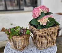 Korb Rattankorb Rattan Geflochten 2Er Set Koboo Grey Landhauswelt