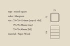 Plywood Laboratory Hokkaido Japan Paper Wood Desk Objects Set Paperweight Tray — photo 10