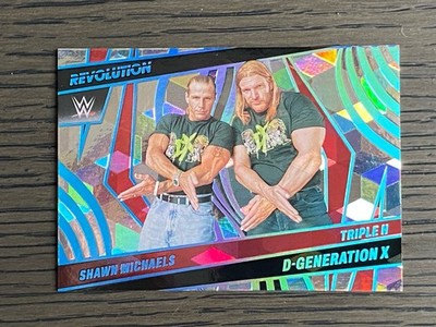 2022 WWE Revolution D-Generation X Shawn Michaels/Triple H Cubic #/49 - #134