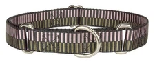 Country Brook Petz® Porcelain Earth Regency Stripes Martingale Dog Collar