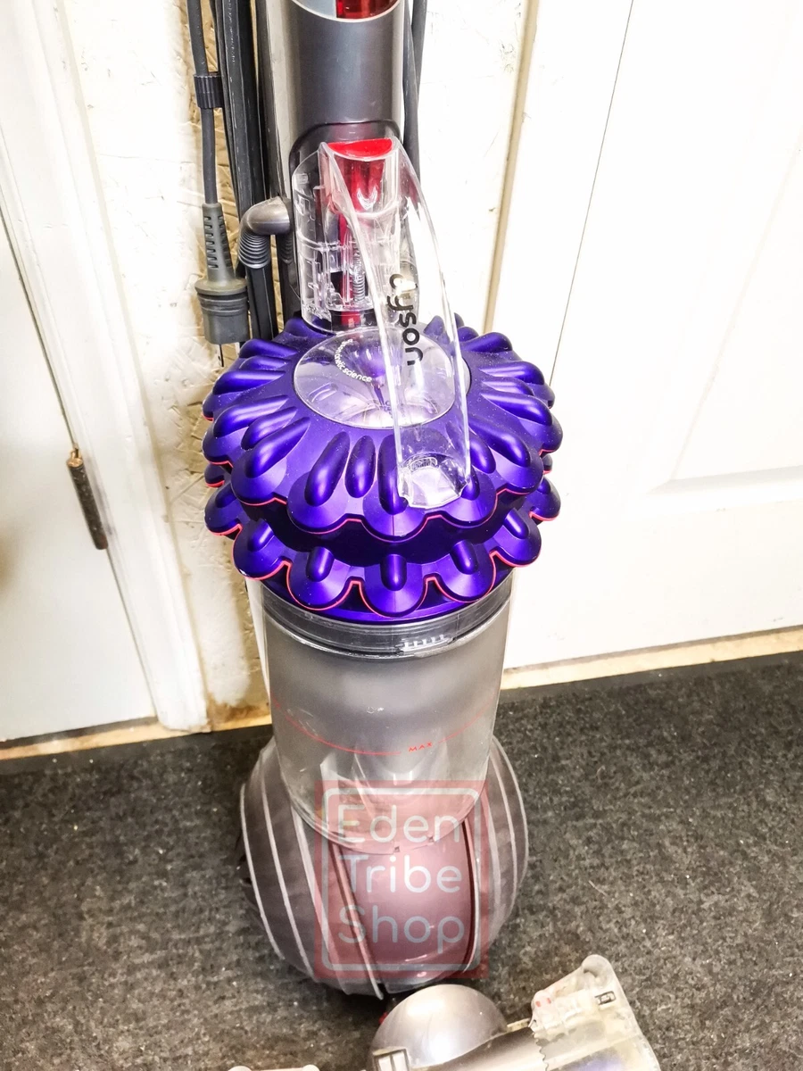 Dyson Cinetic Big Ball Animal Plus Allergy Vacuum |