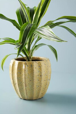 wooden hanging plant holder Japandi Hanging Plant Stand | Home Decor