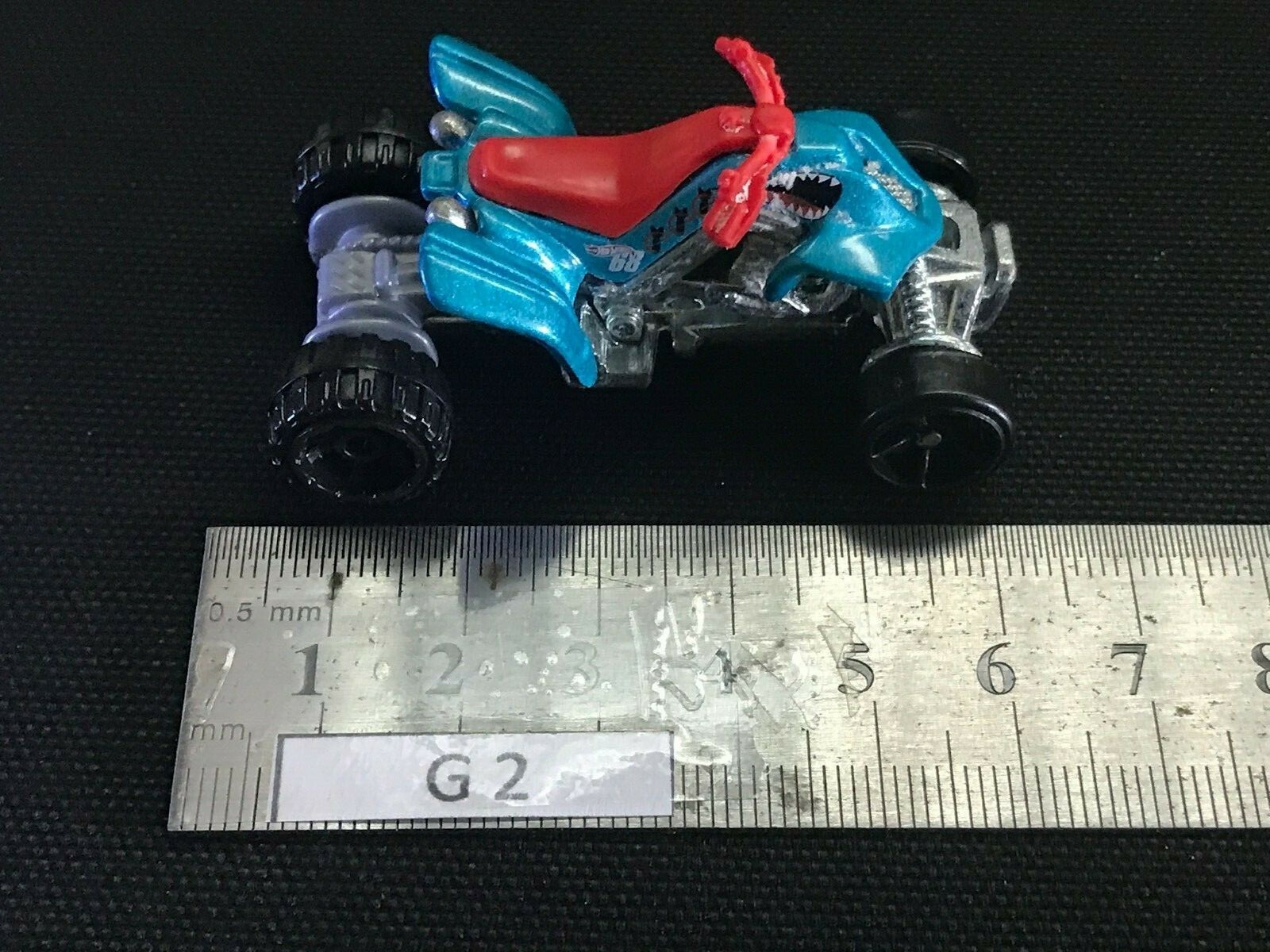 Foto 7 di 7