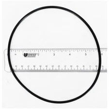 Pentair Triton/Tagelus Pool Sand Filter Lid O-Ring Replacement OEM Part 154493