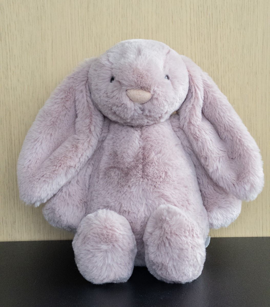  little Bashful Hot Pink Bunny 兎 Jellycat Bashful Hot Pink Bunny - Small — Bird in Hand