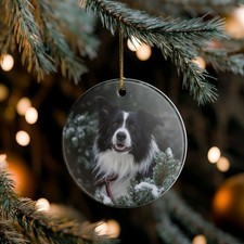 Border Collie Collectible Ceramic Christmas, Holiday Ornament-F101