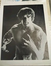 Vintage Lou Ferrigno Hulk Original Autographed 8X10 Photo