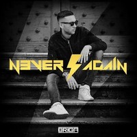 Briga - Never Again - Cd - G3Z