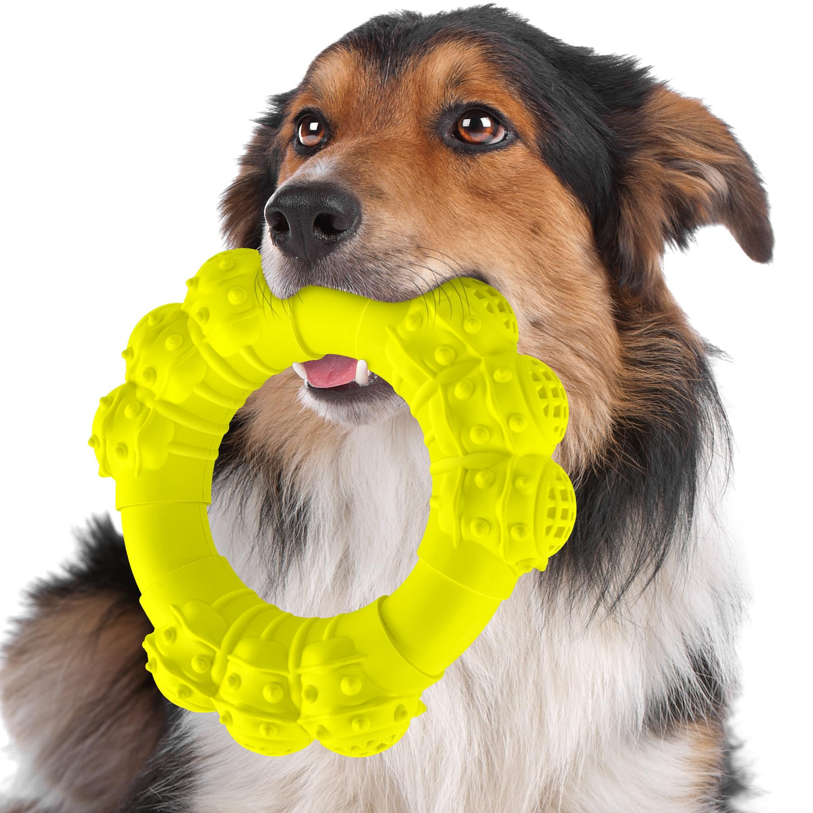 Indestructible Chew Toys for Aggressive Chewers, Super Chewer Dog Toys for Me...