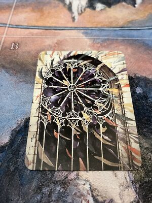 Dispel Ordinary FOIL Sorcery: Contested Realm TCG ALPHA | eBay