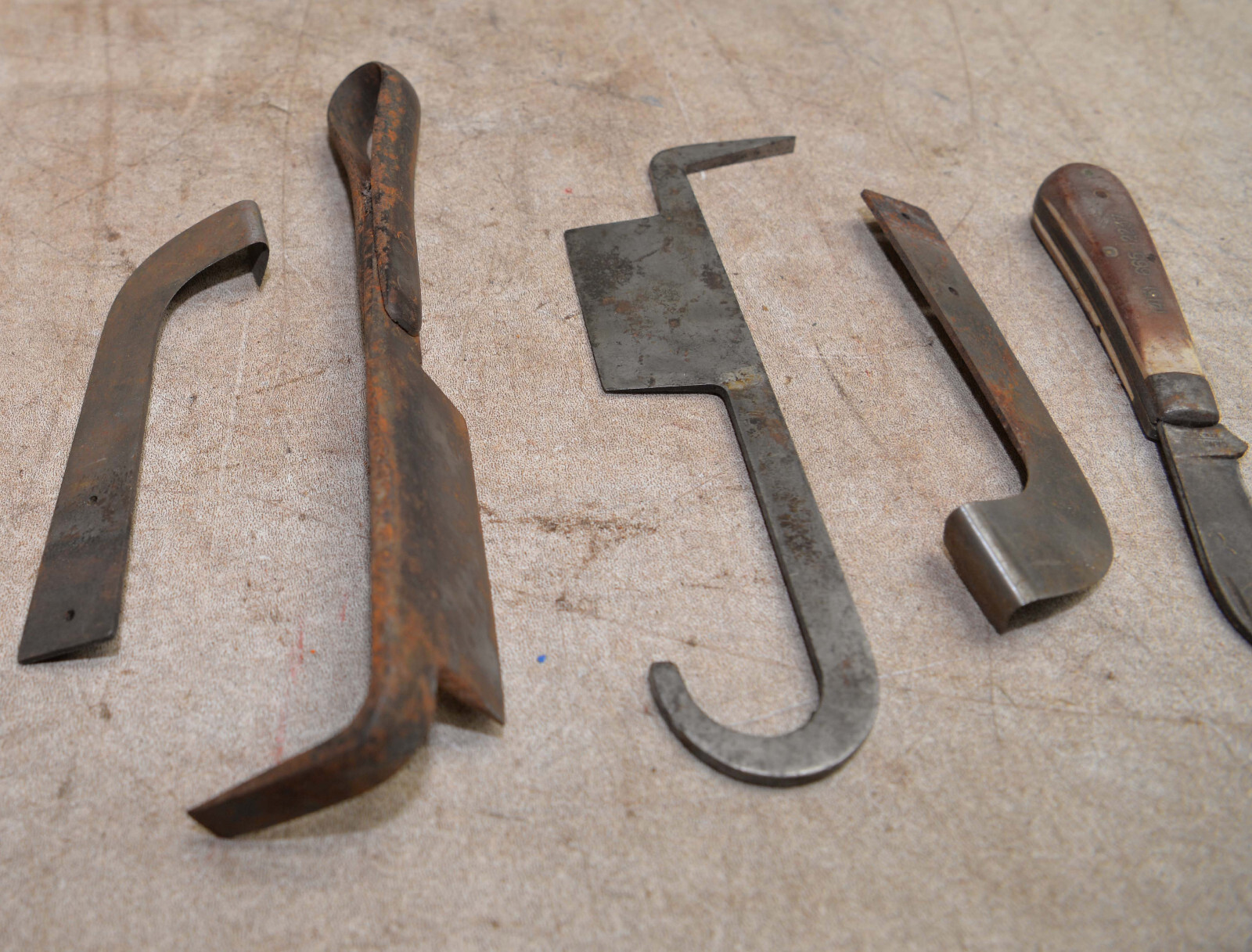 5 antique arborist grafting tool hook knife orchard fruit tree bonsai tool lot