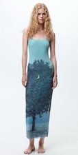 Zara Rene Magritte Mesh Maxi Midi Dress Nature Print Sleeves Tulle Lined Small